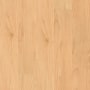 Shaw Connection 4 4" x 36" Embossed Vinyl Flooring with 0.51mm Wear Layer - Sold by Carton (35.65 SF/Carton) Union
