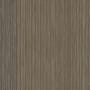 Shaw Philadelphia Commercial Document 24" x 24" Glue Down Carpet Tile - Sold By Carton (79.92 SF/Carton) Front-Page