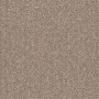 Shaw Sample Only of 54913 Cord