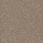 Shaw Sample Only of 54913 Strand