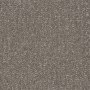 Shaw Sample Only of 54913 Tangle