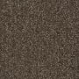Shaw Sample Only of 54913 Trim