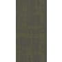 Shaw Curious Wonder 36" x 18" Glue Down Commercial Carpet Tile - Sold By Carton (45 SF/Carton) Amazement