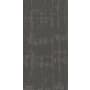 Shaw Curious Wonder 36" x 18" Glue Down Commercial Carpet Tile - Sold By Carton (45 SF/Carton) Collectibles