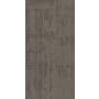 Shaw Curious Wonder 36" x 18" Glue Down Commercial Carpet Tile - Sold By Carton (45 SF/Carton) Astonishment