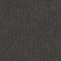 Shaw Rare Essence 24" x 24" Glue Down Commercial Carpet Tile - Sold By Carton (48 SF/Carton) Root