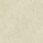 Shaw Casino - 12" x 24" Rectangle Floor Tile - Matte Marble Visual - Sold by Carton (15.5 SF/Carton) Allure