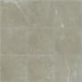 Shaw Visionary - 13" Square Floor and Wall Tile - Sold by Carton (12.92 SF/Carton) Oasis