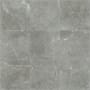 Shaw Visionary - 13" Square Floor and Wall Tile - Sold by Carton (12.92 SF/Carton) Refuge