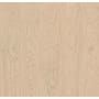 Shaw Sample Only of SL119 Pampas Grass