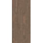 Shaw Sample Only of SL119 Baywood Brown
