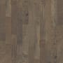 Shaw Sample Only of SW547 Timberwolf