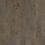 Shaw Sample Only of SW548 Timberwolf