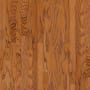 Shaw Sample Only of SW581 Gunstock