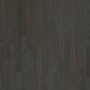 Shaw Sample Only of SW581 Charcoal