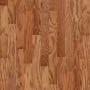 Shaw Sample Only of SW582 Gunstock