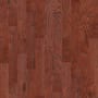Shaw Sample Only of SW582 Cherry