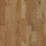 Shaw Sample Only of SW593 Sunkissed