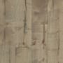 Shaw Sample Only of SW660 Vista