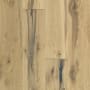 Shaw Sample Only of SW661 Timber