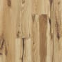Shaw Sample Only of SW661 Natural