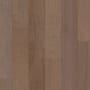 Cassia Bark