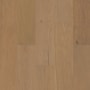 Shaw Sample Only of SW768 Crema