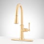 Signature Hardware Beasley 1.75 GPM Single Hole Pull Down Kitchen Faucet - W/ Deck Plate Brushed Gold