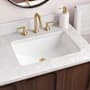Signature Hardware Myers 21" Rectangular Porcelain Undermount Bathroom Sink White