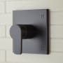 Signature Hardware Hibiscus Pressure Balance Valve Trim - Accufit Rough-In Valve Included Matte Black