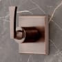 Oil Rubbed Bronze