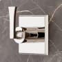 Polished Nickel