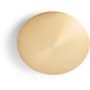 Signature Hardware Finished Drain Cap Brushed Gold