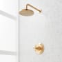 Signature Hardware Elita Pressure Balanced Shower Only Package with Rainfall Shower Head and Cross Handle - Accufit Rough-In Valve Included Brushed Gold