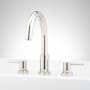 Polished Nickel