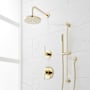 Polished Brass