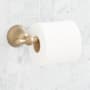 Signature Hardware Traditional Wall Mounted Toilet Paper Holder Aged Brass