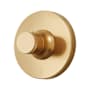 Signature Hardware Lentz Thermostatic Valve Trim Only - Less Rough-In Valve Brushed Gold