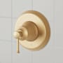 Signature Hardware Beasley Thermostatic Valve Trim - 3/4" Rough-In Valve Included Brushed Gold