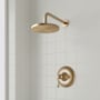 Signature Hardware Beasley Pressure Balanced Shower Only Package with Rainfall Shower Head and Valve Trim - Accufit Rough-In Valve Included Aged Brass