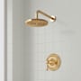 Signature Hardware Beasley Pressure Balanced Shower Only Package with Rainfall Shower Head and Valve Trim - Accufit Rough-In Valve Included Brushed Gold