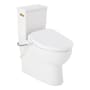 Signature Hardware Lavrik 1.28 GPF Skirted Two Piece Elongated Toilet with Reversible Trip Lever - ADA Compliant - Bidet Seat Included White / Brushed Gold