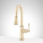 Signature Hardware Beasley 1.75 GPM Single Hole Pre-Rinse Kitchen Faucet Aged Brass