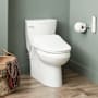 Signature Hardware Brinstead 1.28 GPF One Piece Elongated Toilet - ADA Compliant, Bidet Seat Included Chrome