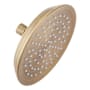 Signature Hardware 7" Round 1.75 GPM Single Function Shower Head Aged Brass