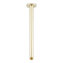 Signature Hardware 12" Round Ceiling-Mount Shower Arm with Escutcheon Polished Brass