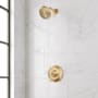 Signature Hardware Provincetown Pressure Balance Shower Set Trim Brushed Gold