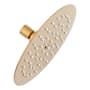 Signature Hardware 2.5 GPM 8" Wide Contemporary Rain Shower Head Brushed Gold