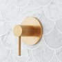 Signature Hardware Lexia Volume Control Trim - 3/4" Rough In Valve Included Brushed Gold