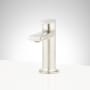 Brushed Nickel